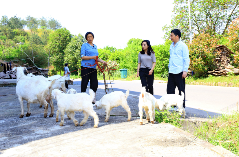 微信圖片_20240919155625.png 微信圖片_20240919155625.png